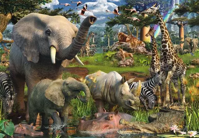 Animales en la selva - Ravensburger